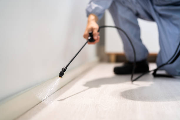 Licensed Rodent Control service in Ashtabula, OH - Nex Pest Control