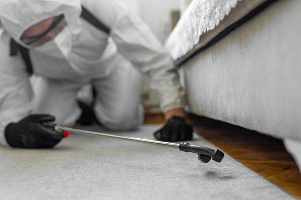 Professional Rodent Control technician working in Ashtabula, OH