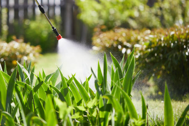 24/7 Emergency Rodent Control experts in Ashtabula, OH