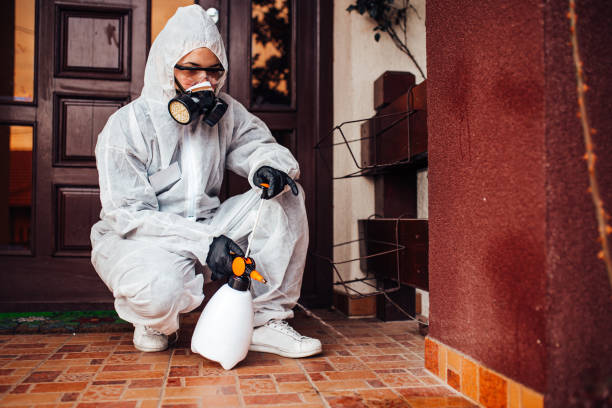 Reliable Rodent Control contractor in Ashtabula, OH by Nex Pest Control